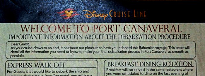 important-information-about-the-debarkation-procedeure