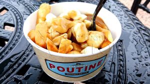 DS-The-Daily-Poutine-classic-001