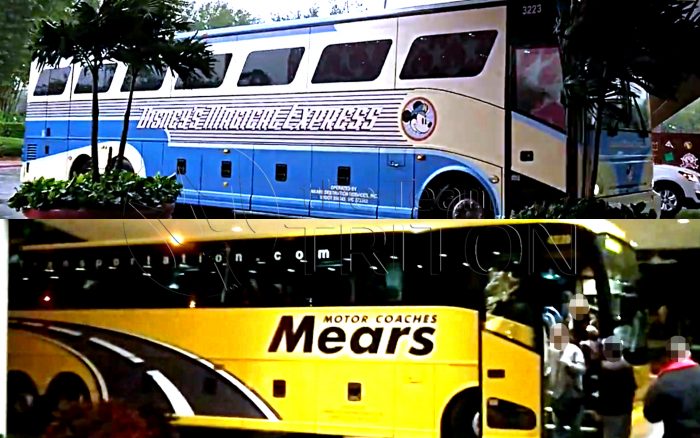 Disney-Magical-Express-Disney-and-Mears-001